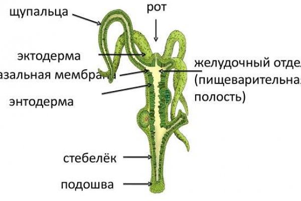 Рабочий сайт blacksprut blacksputc com