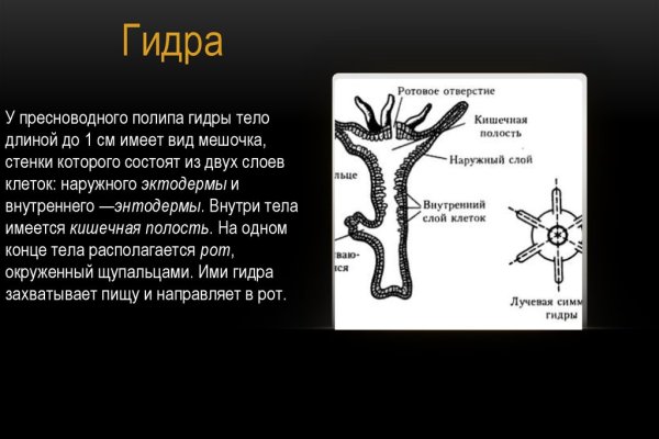 Где можно найти даркнет